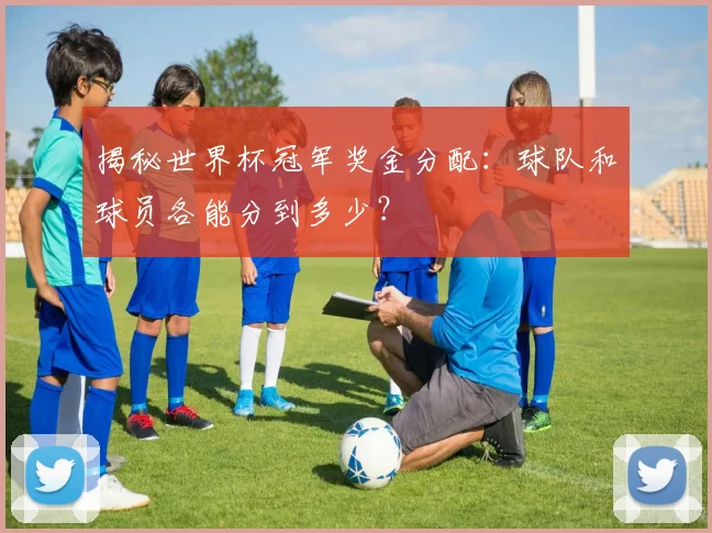 揭秘世界杯冠军奖金分配：球队和球员各能分到多少？