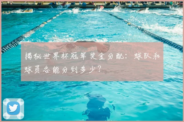 揭秘世界杯冠军奖金分配：球队和球员各能分到多少？