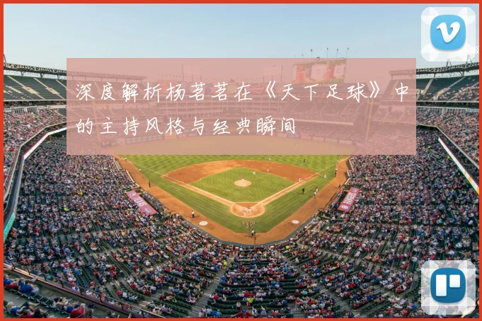 深度解析杨茗茗在《天下足球》中的主持风格与经典瞬间